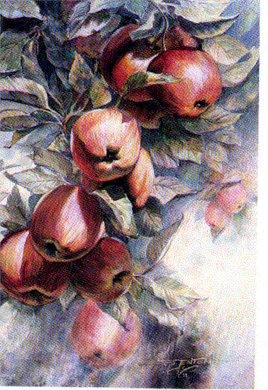 Jonathan's Bounty (3).gif (138262 bytes)